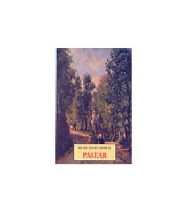 PASSEJADESPLLS 29
