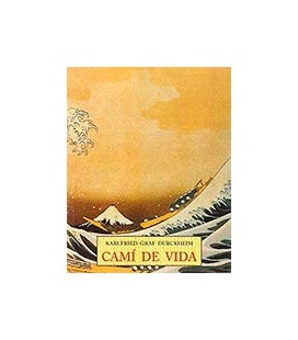 CAMI DE VIDAPLLS 28