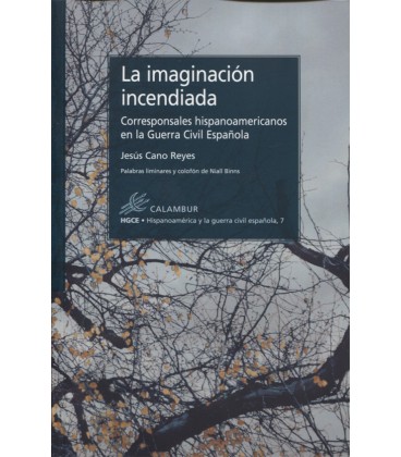 IMAGINACION INCENDIADA