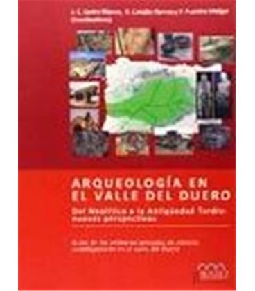ARQUEOLOGIA EN EL VALLE DEL DUERO