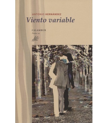 VIENTO VARIABLE
