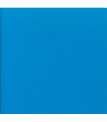 LIBRO AZUL