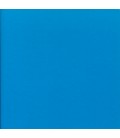 LIBRO AZUL, EL