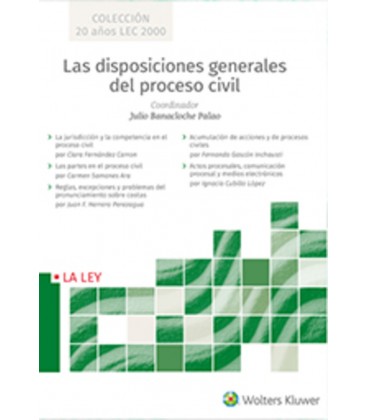 LAS DISPOSICIONES GENERALES DEL PROCESO CIVIL