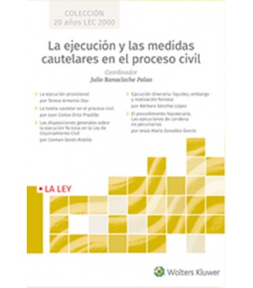 LA EJECUCION Y LAS MEDIDAS CAUTELARES EN EL PROCESO CIVIL