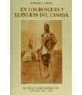 EN LOS BOSQUES Y LLANURAS IN18