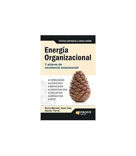 ENERGIA ORGANIZACIONAL