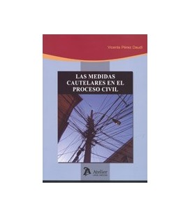 MEDIDAS CAUTELARES EN EL PROCESO CIVIL