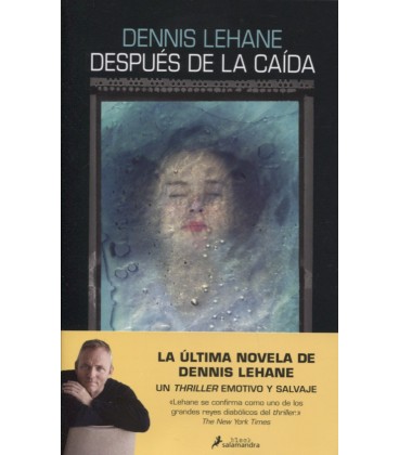DESPUES DE LA CAIDA