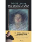 DESPUES DE LA CAIDA