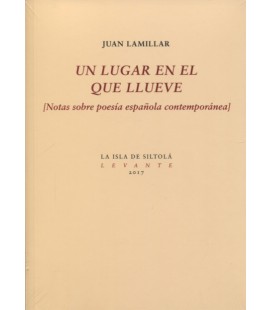 UN LUGAR EN EL QUE LLUEVE
