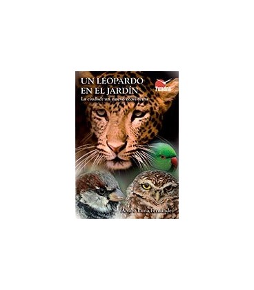 UN LEOPARDO EN EL JARDIN (LA CIUDAD UN NUEVO ECOSISTEMA)
