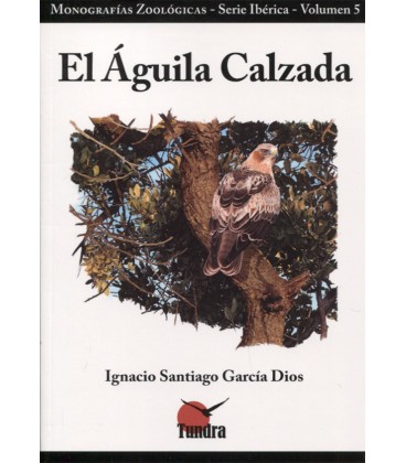 AGUILA CALZADA