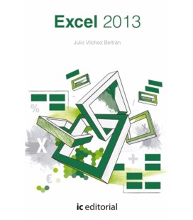 EXCEL 2013
