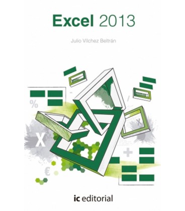 EXCEL 2013