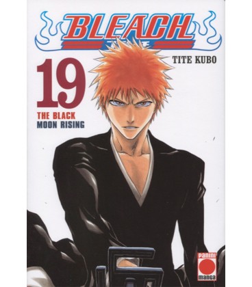 BLEACH 19