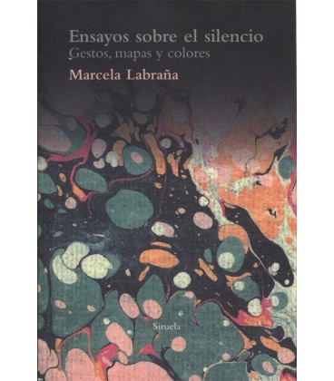 ENSAYOS SOBRE EL SILENCIO GESTOS MAPAS Y COLORES