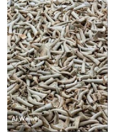 AI WEIWEI RESTABLECER MEMORIAS