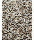 AI WEIWEI RESTABLECER MEMORIAS