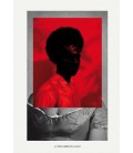 AFRICAMERICANOS