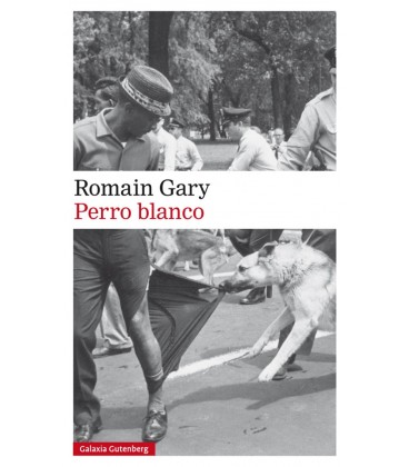 PERRO BLANCO