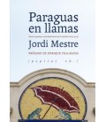 PARAGUAS EN LLAMAS