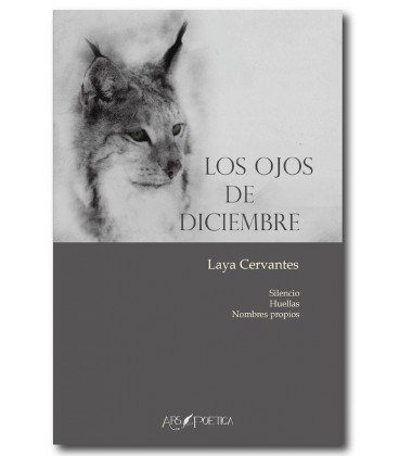 OJOS DE DICIEMBRE