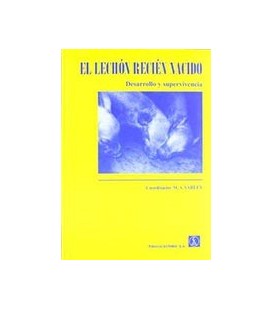 LECHON RECIEN NACIDO DESARROLLO Y SUPER