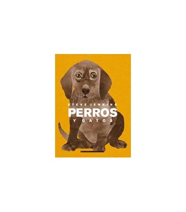 PERROS Y GATOS