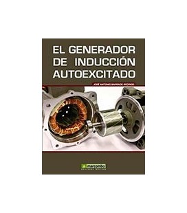 GENERADOR DE INDUCCION AUTOEXCITADO