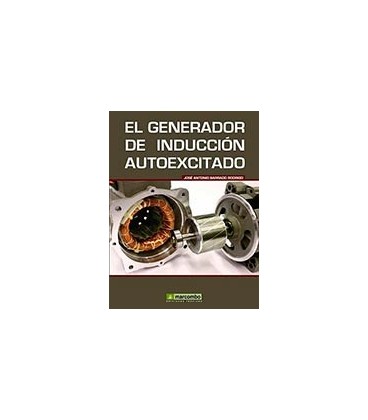 GENERADOR DE INDUCCION AUTOEXCITADO