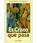 ES CRISTO QUE PASA BOLSILLO RUSTICA