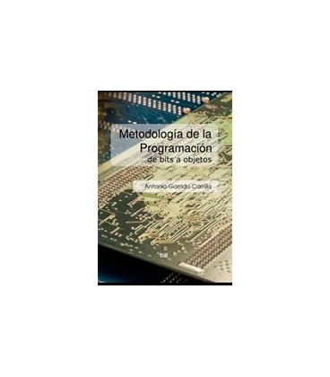 METODOLOGIA DE LA PROGRAMACION DE BITS A OBJETOS