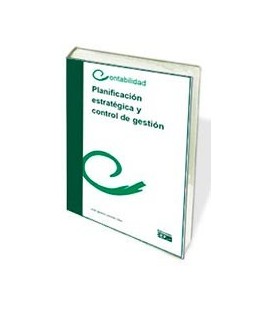 PLANIFICACION ESTRATEGICA Y CONTROL DE GESTION