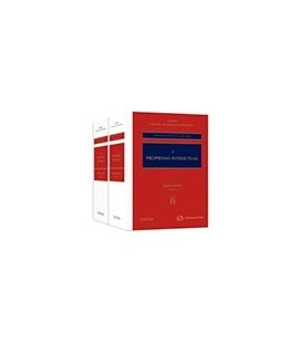 SUMMA REVISTA DE DERECHO MERCANTIL PROPIEDAD INDUSTRIAL E INTELECTUAL