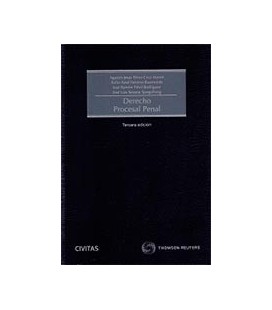 DERECHO PROCESAL PENAL 3ED (P+EB)