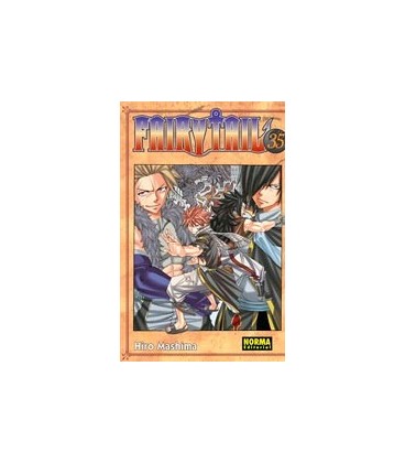 FAIRY TAIL 35