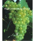 PLAGAS Y ENFERMEDADES DE LA VID