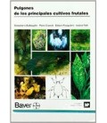 PULGONES PRINCIPALES CULTIVOS FRUTALES