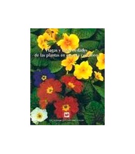 PLAGAS Y ENFERMEDADES PLANTAS MACETA FLOR