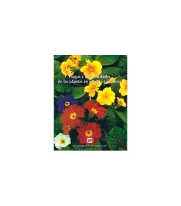 PLAGAS Y ENFERMEDADES PLANTAS MACETA FLOR
