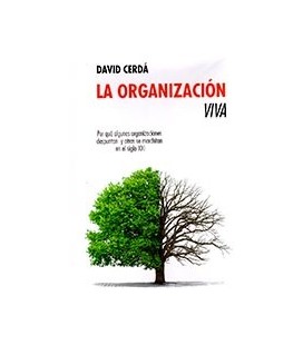 ORGANIZACION VIVA
