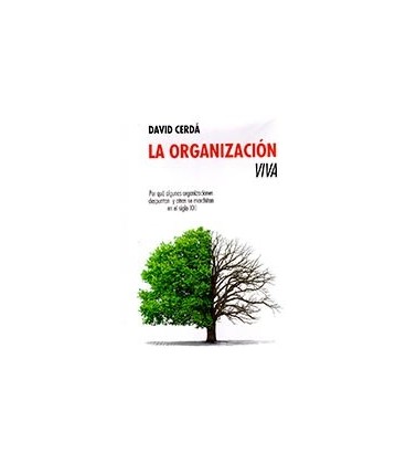 ORGANIZACION VIVA