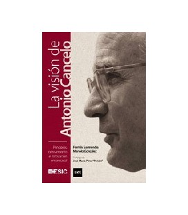 VISION DE ANTONIO CANCELO INNOVACION EMPRESARIAL