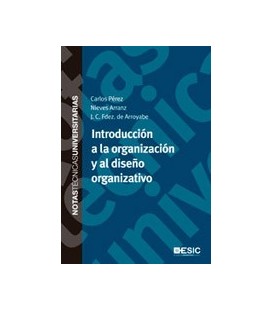 INTRODUCCION A LA ORGANIZACION Y AL DISEÑO ORGANIZATIVO