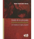 ESTUDIO PRINCIPALES ACUERDOS PRECONTRACTUALES (MODELOS INGLES ESPAÑOL)