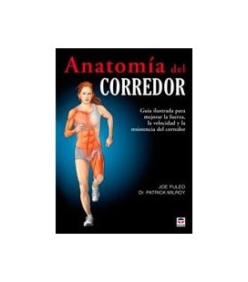 ANATOMIA DEL CORREDOR
