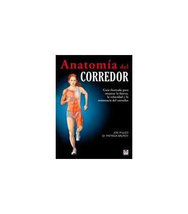 ANATOMIA DEL CORREDOR