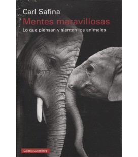 MENTES MARAVILLOSAS