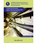 MANTENIMIENTO DE REDES ELECTRICAS SUBTERRANEAS DE ALTA TENSION (AJUS A